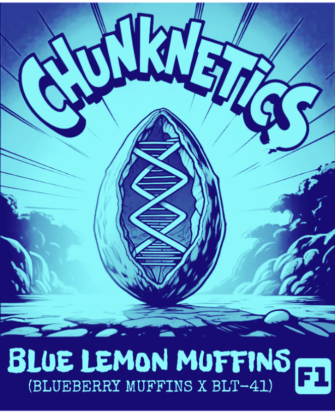 BLUE LEMON MUFFINS F1 REG SEEDS