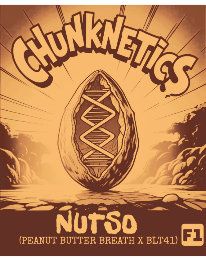 NUTSO F1 REG SEEDS