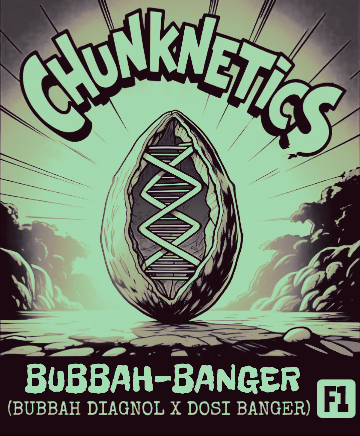 BUBBAH BANGER F1 REG SEEDS