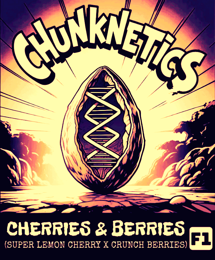 CHERRIES & BERRIES F1 REG SEEDS