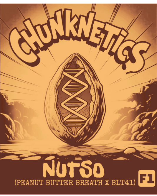NUTSO F1 REG SEEDS
