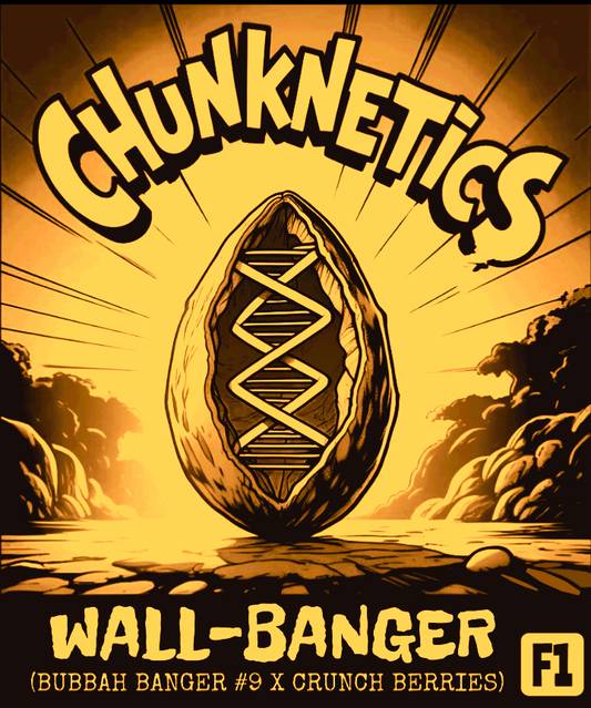 WALL-BANGER F1 REG SEEDS